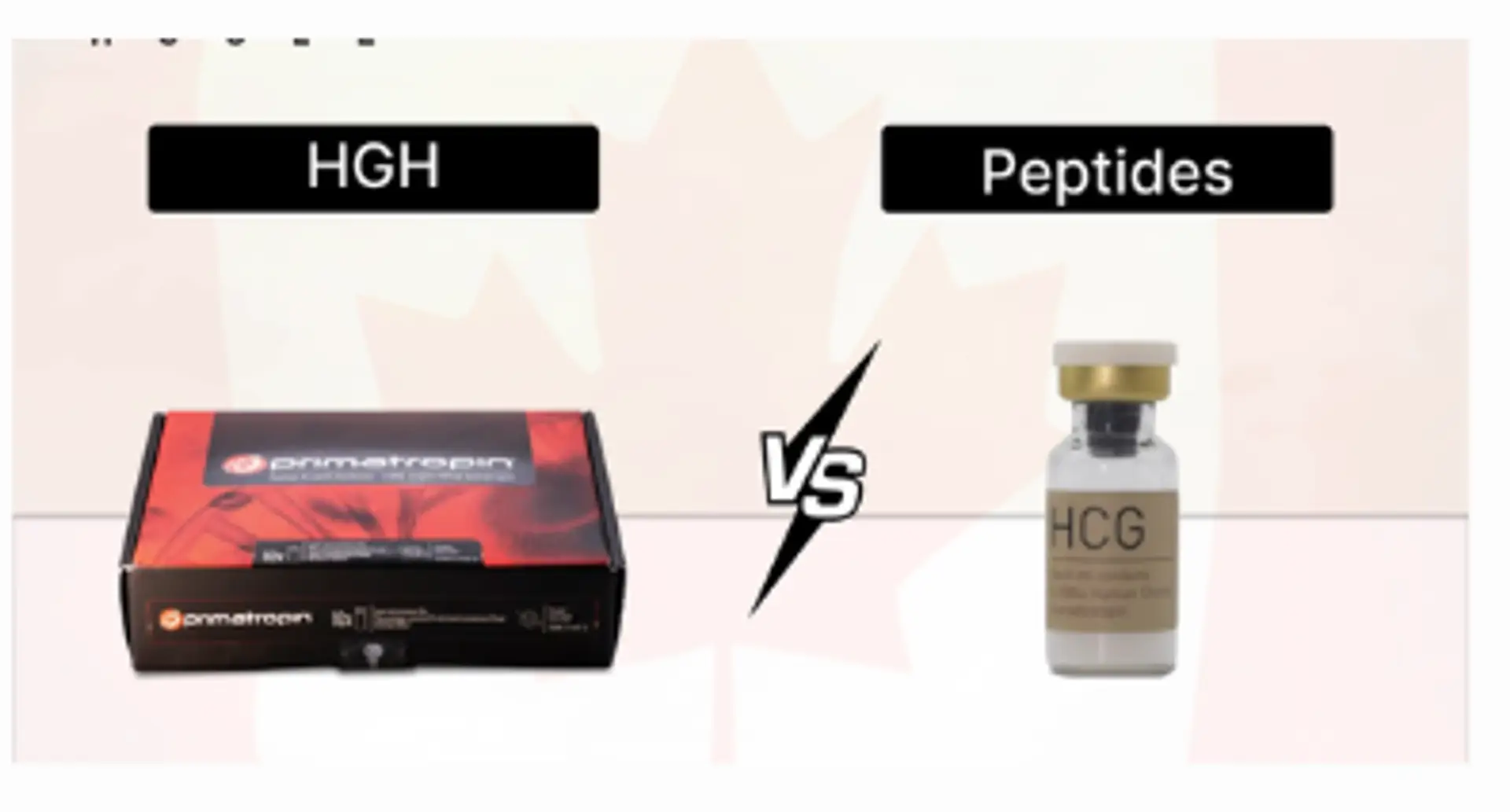 69322be2e8e985f9aade2b9d